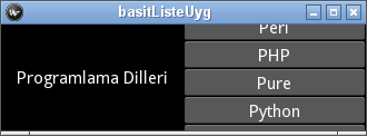 _images/basitListe2.png